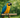 How often should I change out perches?