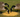 What can I feed my geese?