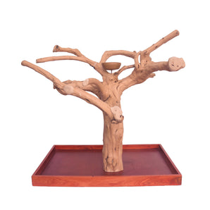 Large Table Top Java Wood Tree - 28"x18" - A3414
