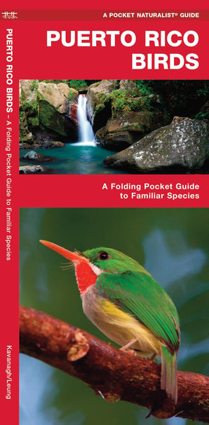 Puerto Rico Birds: A Folding Pocket Guide to Familiar Species (Pocket Naturalist Guide)