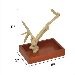A&E Cage Company X-Small Natural Java Wood Table Top Bird Play Stand - AE500XS
