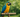 How often should I change out perches?