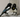 Birds Showing Mirror Self-recognition