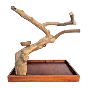Medium Table Top Java Wood Tree - 22"x14" - A2528