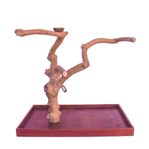 Large Table Top Java Wood Tree - 28"x18"x26" - A3185