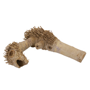 Small Spider Root - AE2110