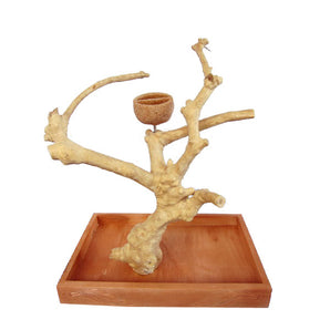 Small Natural Java Wood Table Top Play Stand - AE500S