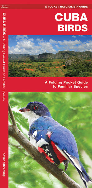 Cuba Birds A Folding Pocket Guide to Familiar Species (Pocket Naturalist Guide)
