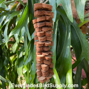 Large Coconut Flowers Bird Toy