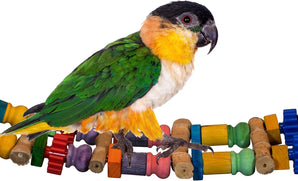 Bamboo Bridge Bird Toy for Parrots by Super Bird Creations