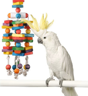 Colorful Four Point Hanging Bird Toy X-Large by Super Bird Creations