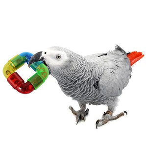 Rattler Ring Bird Foot Toy by Super Bird Creations