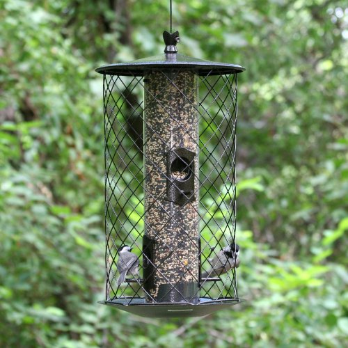 Birdscapes 735 The Preserve Wild Bird Feeder