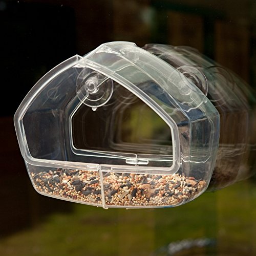 cat window bird feeder