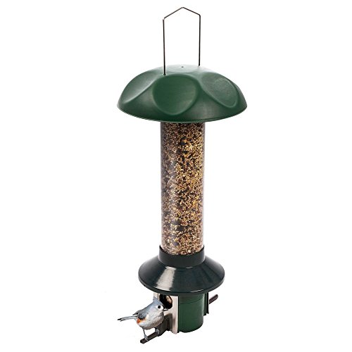 Roamwild PestOff Squirrel Proof Bird Feeder Mixed Seed Sunflower Heart ...