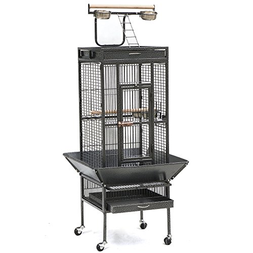 cockatoo bird cages for sale